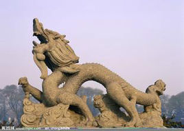 龍 圖片