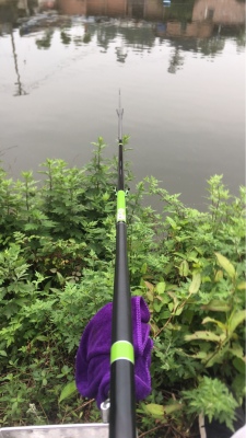 太平洋魚(yú)竿和迪佳魚(yú)竿哪個(gè)好3