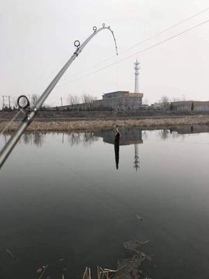 史蒂夫魚(yú)竿怎么樣好不好用3