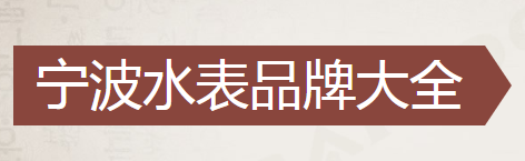 寧波水表廠(chǎng)家十排名(寧波水表有限公司怎么樣)