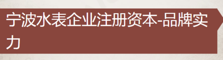 寧波水表廠(chǎng)家十排名(寧波水表有限公司怎么樣)