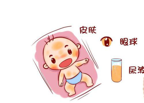 蕪湖月子中心示意圖