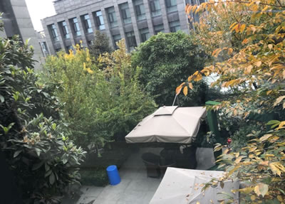 縱向.jpg