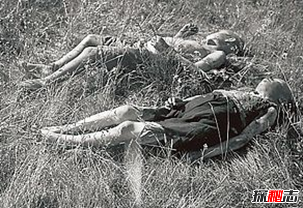 1942芬蘭靈異事件,不費一兵一卒消滅蘇軍(人皮尸骸)