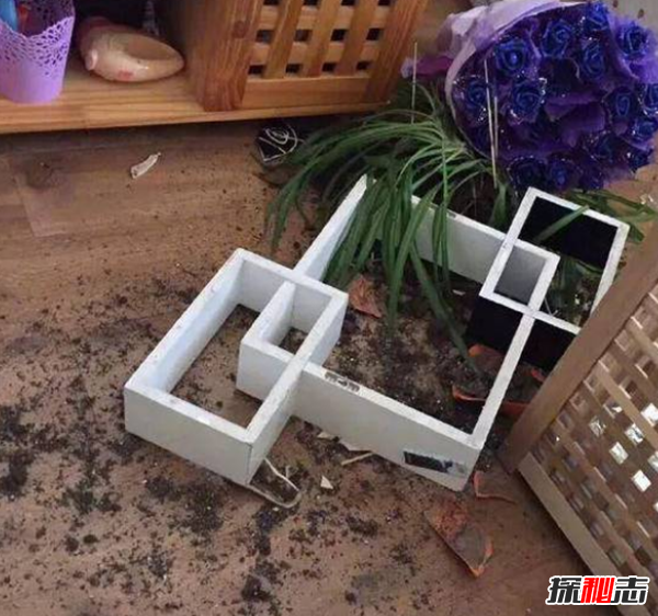 地震最淡定主播是誰(shuí)?怎么火了?