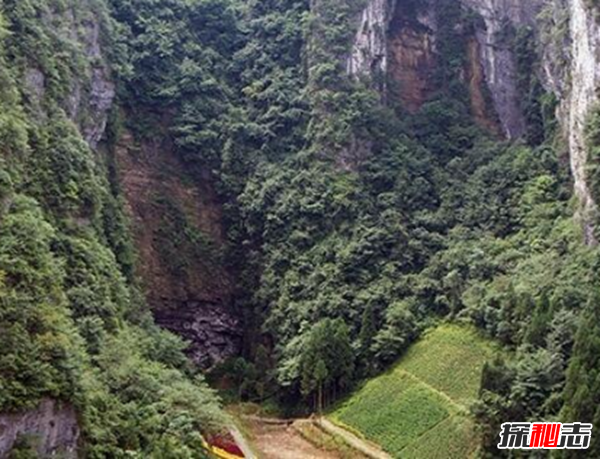 湖北利川天坑之謎,坑口直徑3米多發(fā)出惡臭(腐爛棺木)