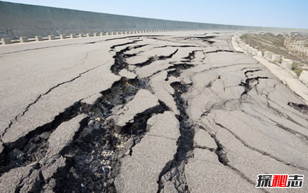 動(dòng)物中十大奇特有趣的現象,第四種動(dòng)物能提前感覺(jué)地震