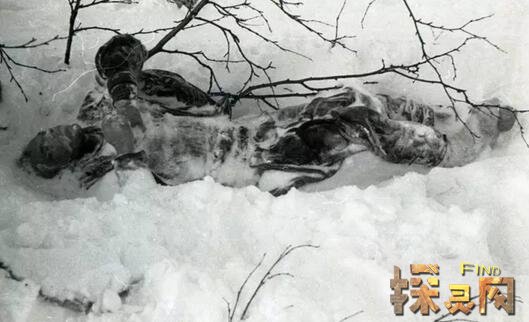 迪亞特洛夫事件